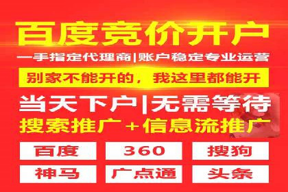 SEM外包策略在电商平台的成功案例